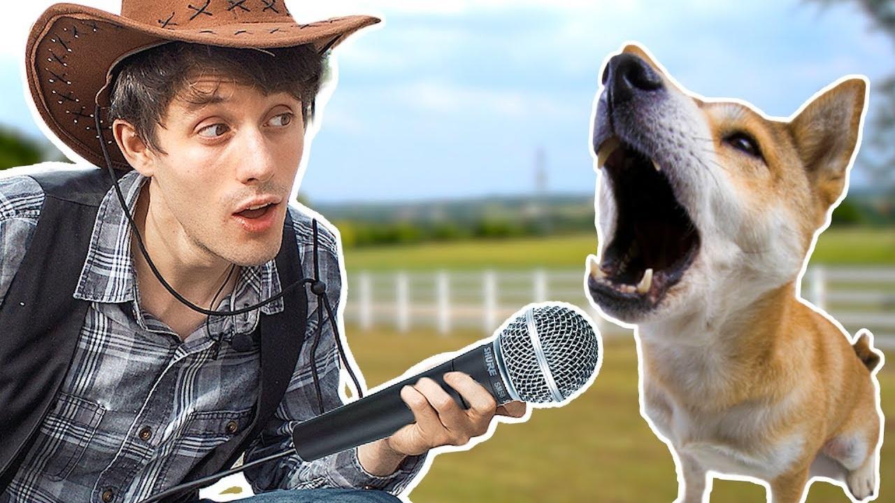 Alex Goot - Remaking Old Town Road With 100 Dogs