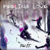 秘密 - Feeling Love (feat.ST)