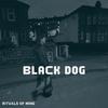 Rituals of Mine - Black Dog