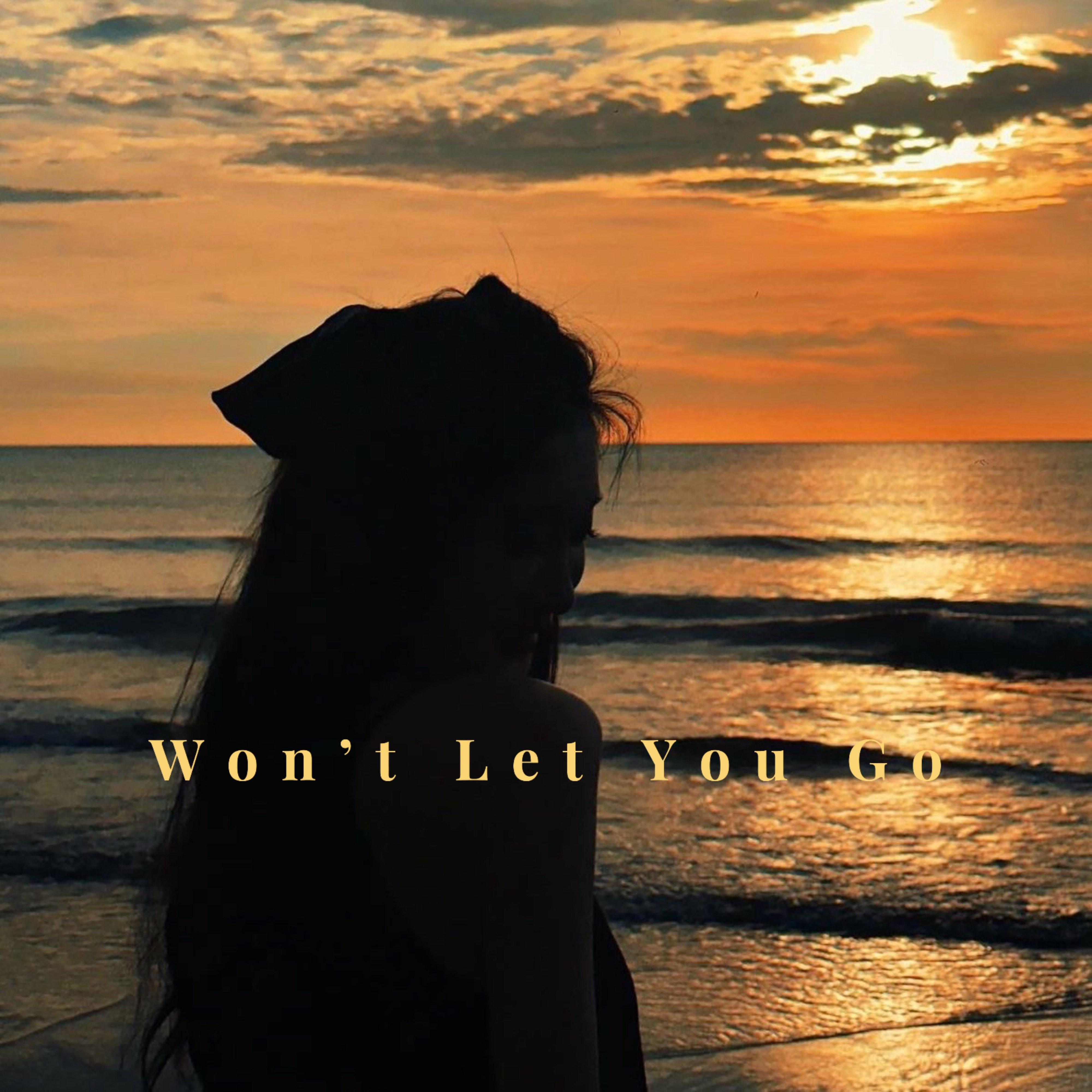 Won’t Let You Go（《艾嘉食堂》節目插曲） 海報