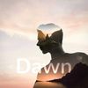 董子龙 - Dawn