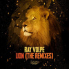 I.Y.F.F.E - Lion (I.Y.F.F.E Remix)