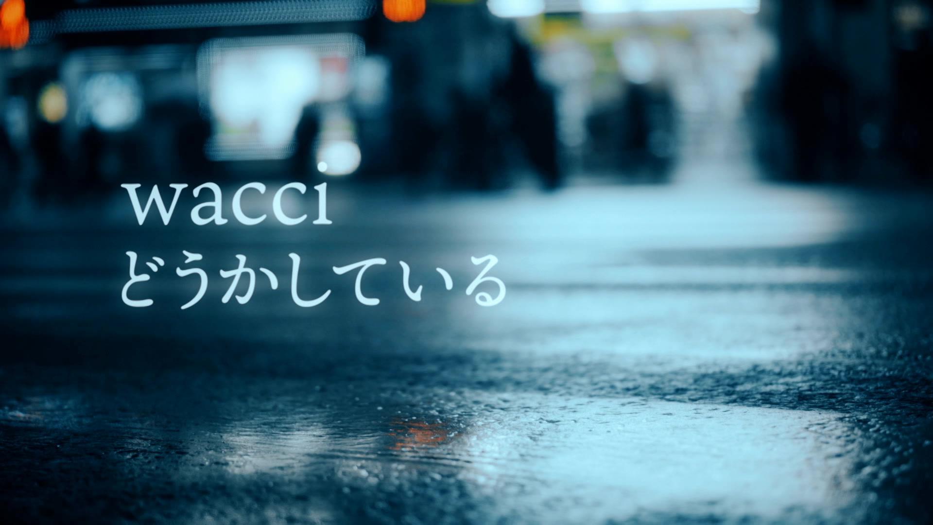 wacci - 「どうかしている」リリックビデオ