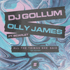 DJ Gollum - All the Things She Said (TikTok Mix)