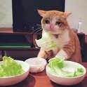 _(:з」∠)_
