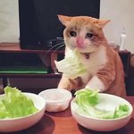 _(:з」∠)_