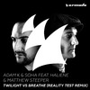 Adam K - Twilight vs Breathe (Reality Test Remix)