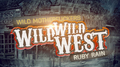 Wild Wild West / Ruby Rain专辑