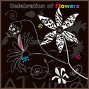 Celebration Of Flowers专辑