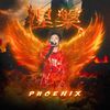 Phoenix - 讲个故事给你听（intro）