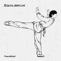 平衡 Equilibrium专辑