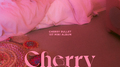 Cherry Rush专辑