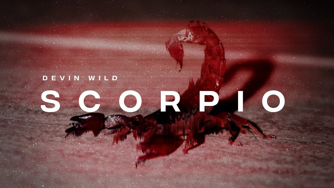 Devin Wild - Scorpio