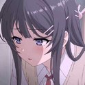 星河入怀