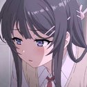 星河入怀