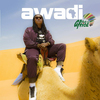 Didier Awadi - CFA