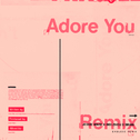 Adore You (Endless Remix)专辑