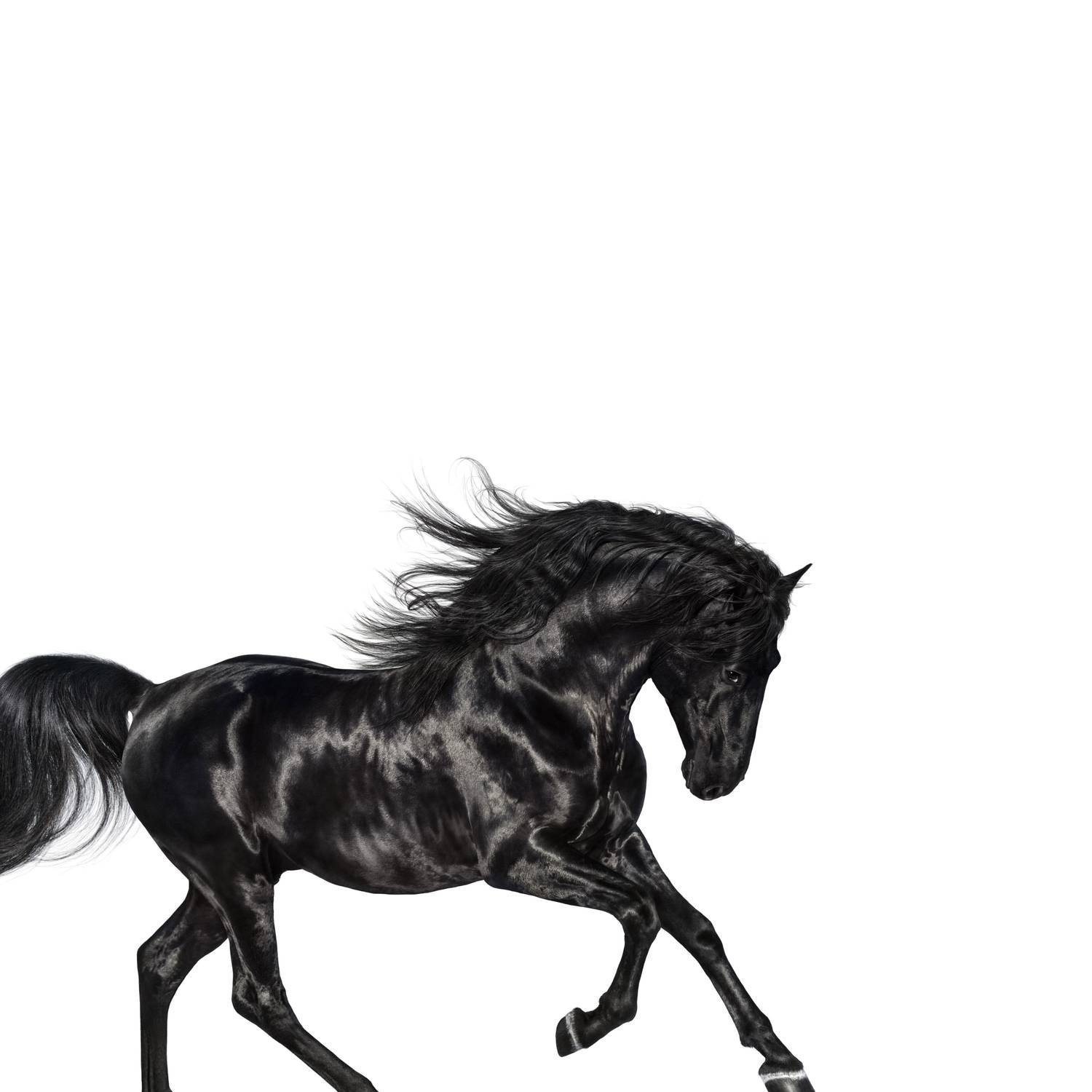 Lil Nas X
