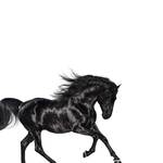 Lil Nas X