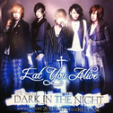 DARK IN THE NIGHT专辑