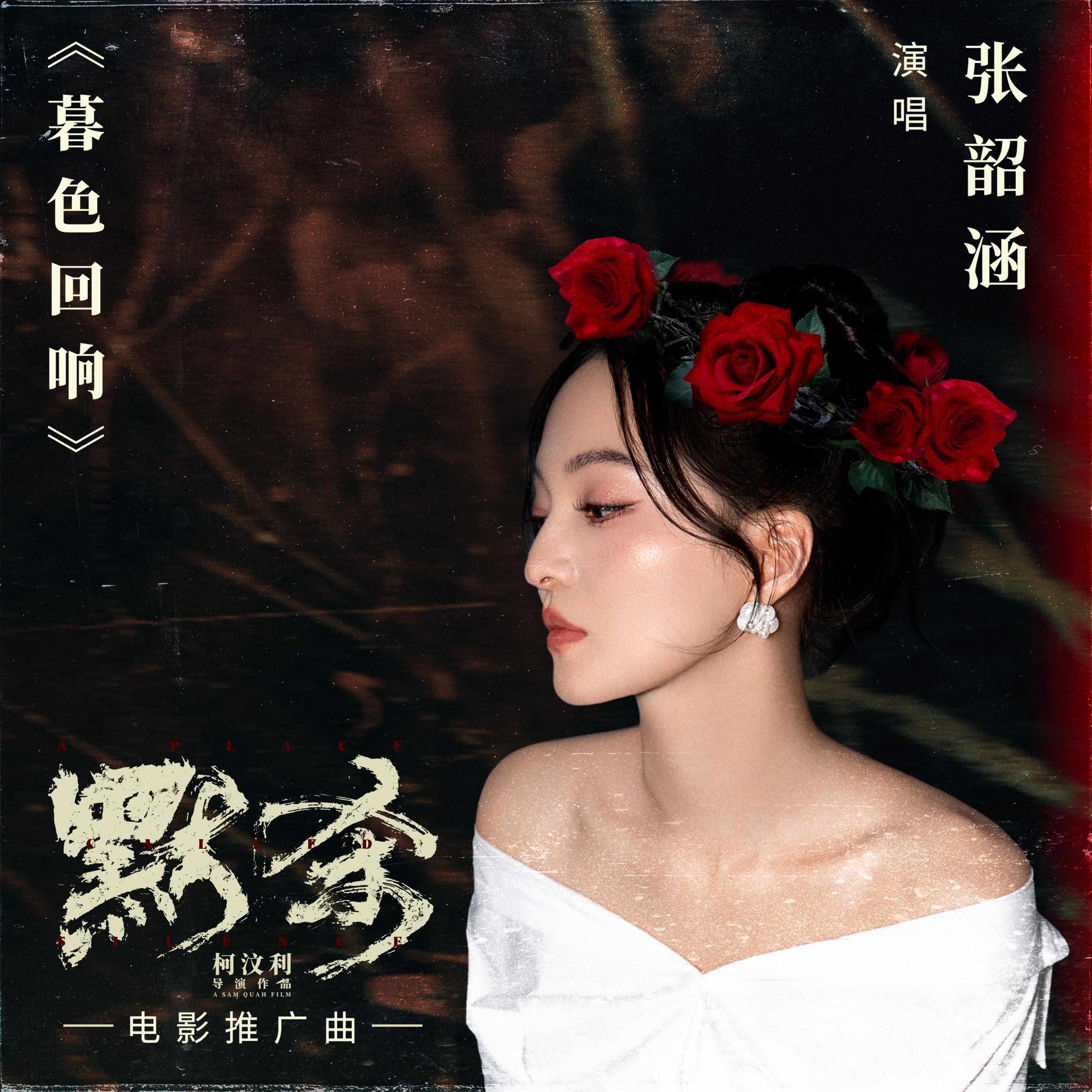 暮色回响 海报