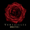 Versailles - THE RED CARPET DAY