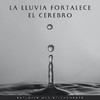 Estudio de sonidos de lluvia - Resonancia De Recuerdo De La Gota De Lluvia