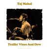 Taj Mahal - Talk (Live)