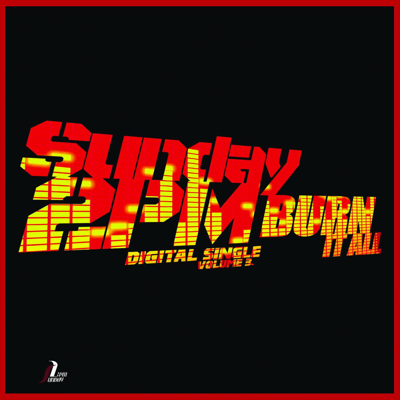 Burn It All [Digital Single]专辑