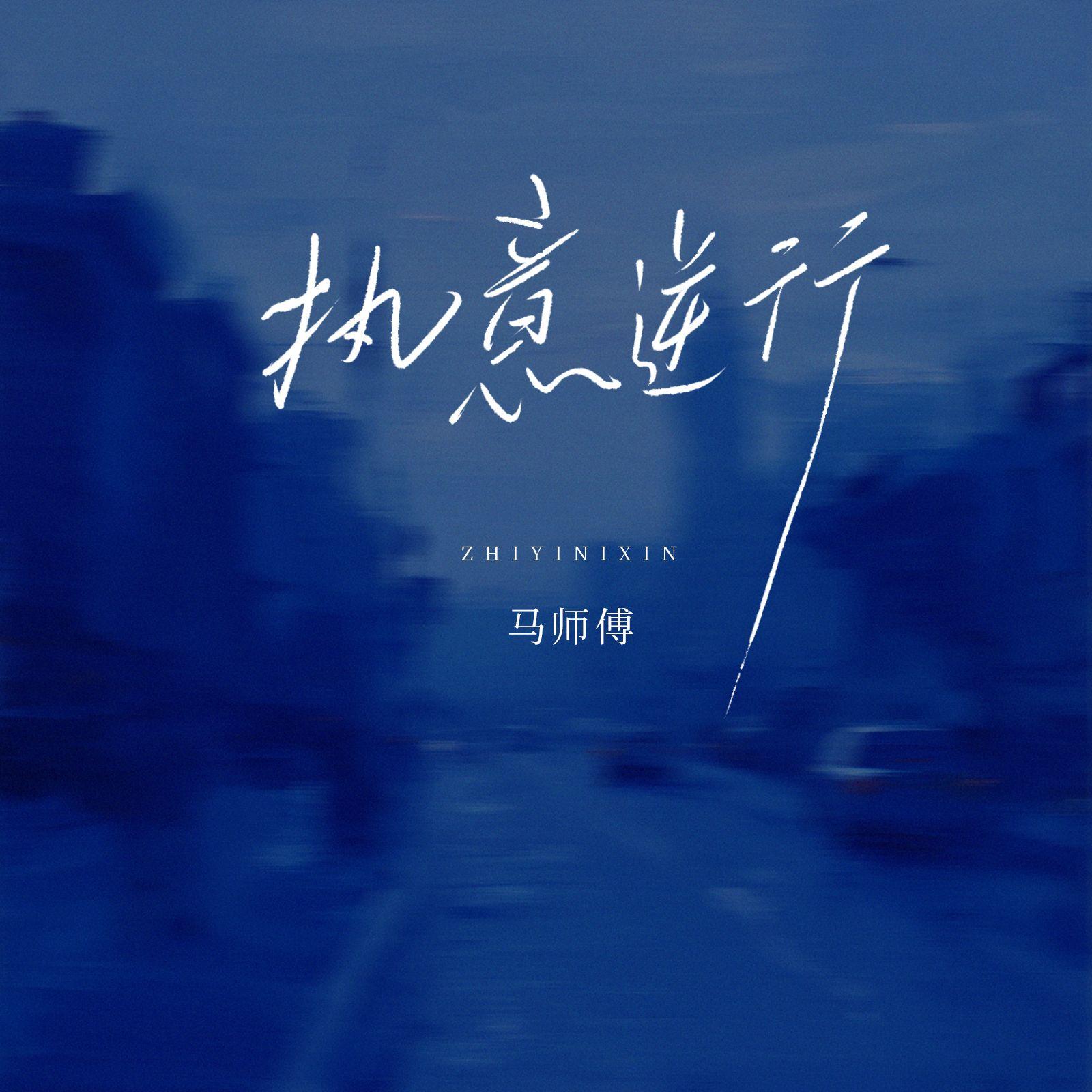 执意逆行 海报