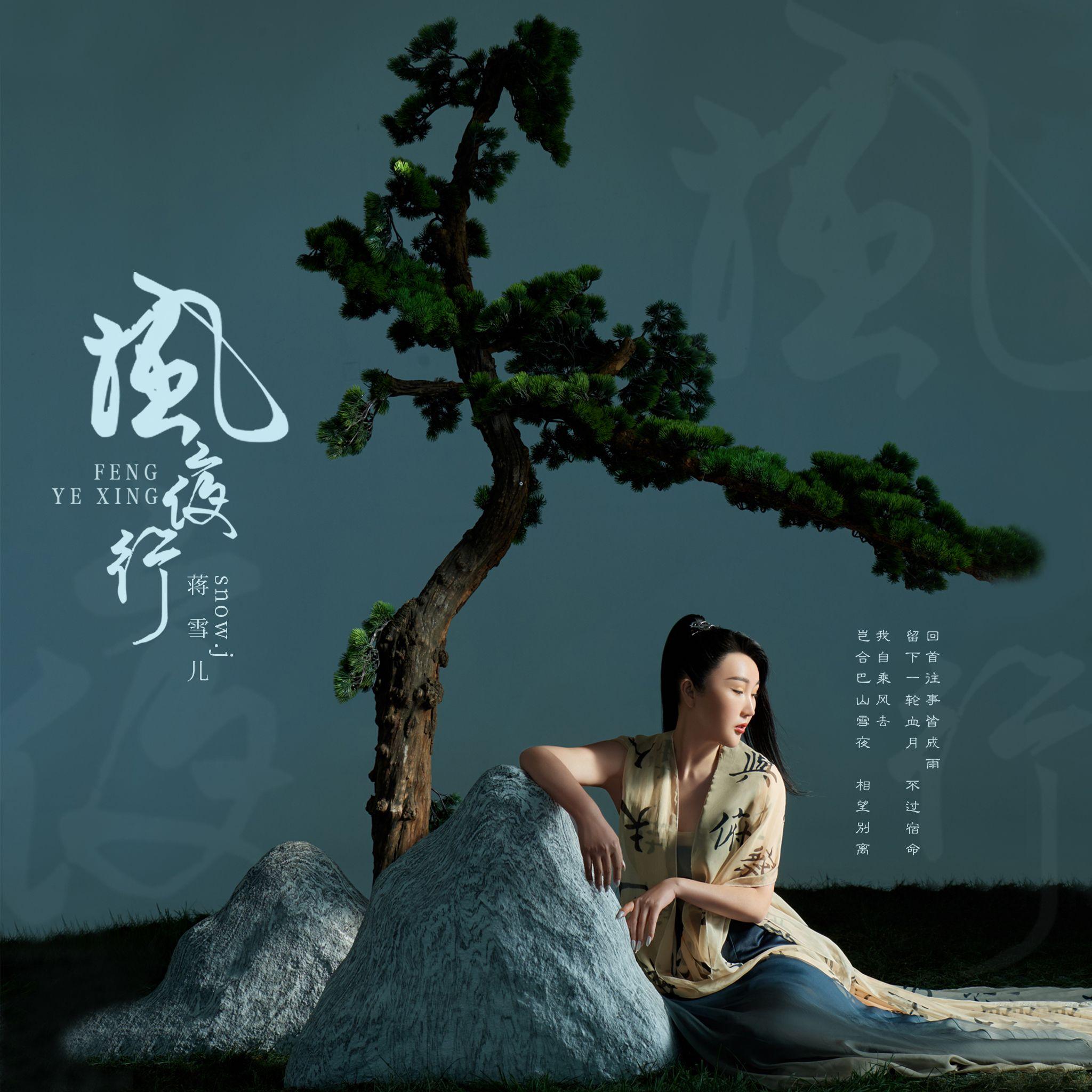 风夜行（越南鼓DJ版） banner