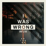 I Was Wrong (Cargo & BJS Remix)专辑