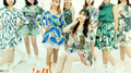 Tropical Love专辑