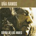 Quena de los Andes专辑