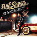 Ultimate Hits: Rock and Roll Never Forgets专辑