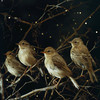 Nature Insight - Birds Conduct Symphony of Calm