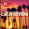 Alternative Reality - Califaction (DJ DLG & Alternative Reality Mix)