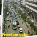 Freedom pain自由之痛