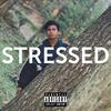 TMR - Stressed