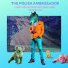 The Polish Ambassador - Center For Kids Who Can't Dance Good (& Friends Mix)