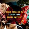 David Serrano DJ - Stolen Weed