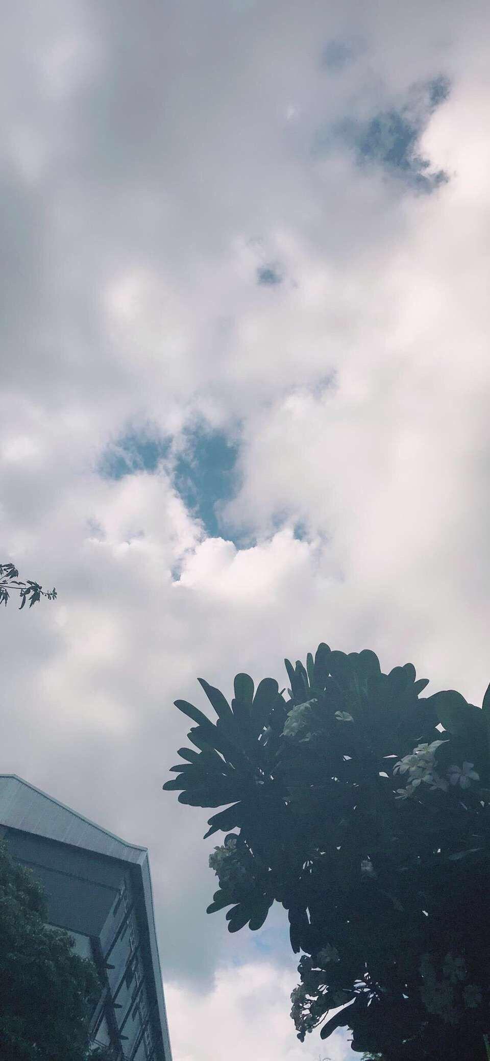 张小伙