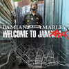 Damian Marley - Pimpa's Paradise