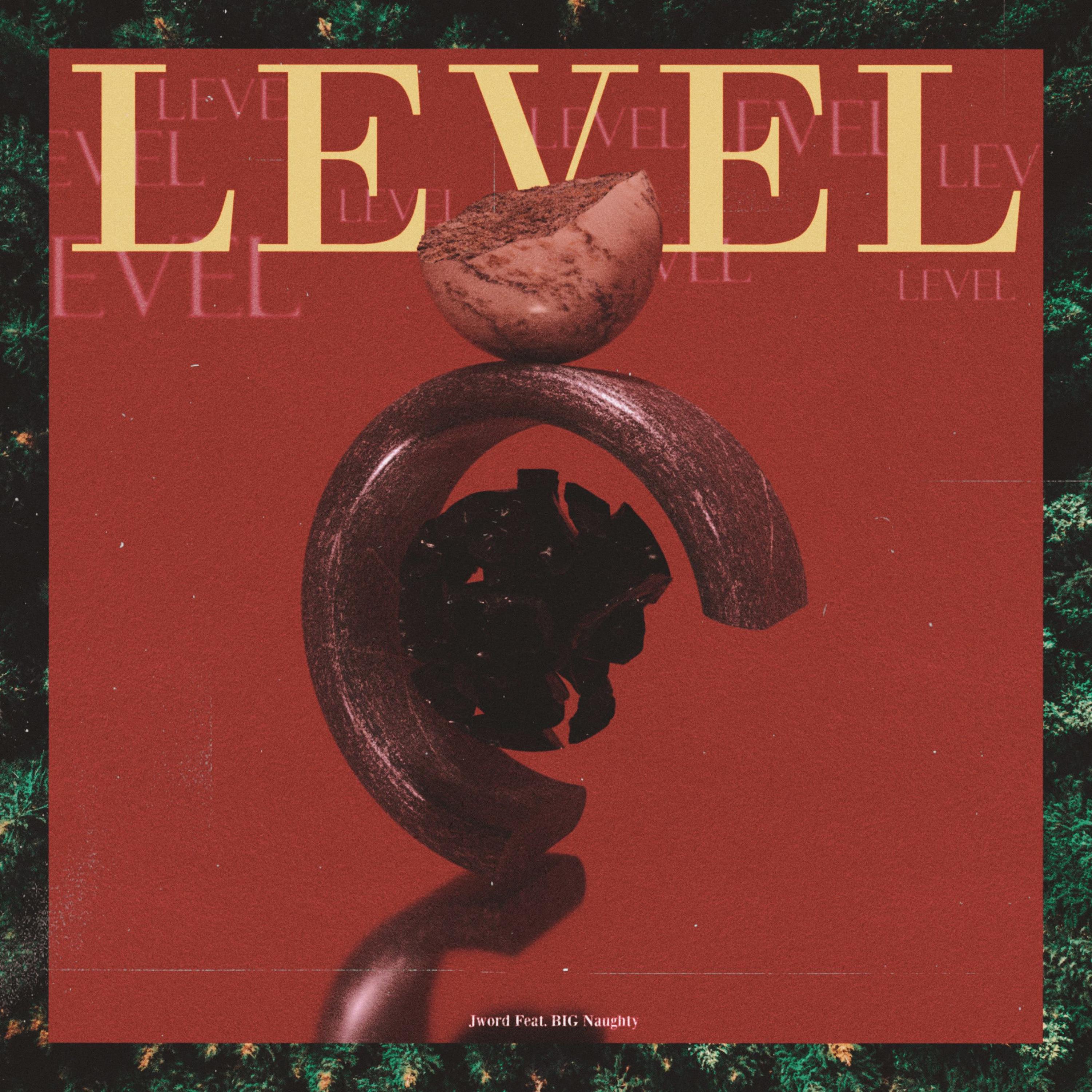 Level (feat. BIG Naughty) banner