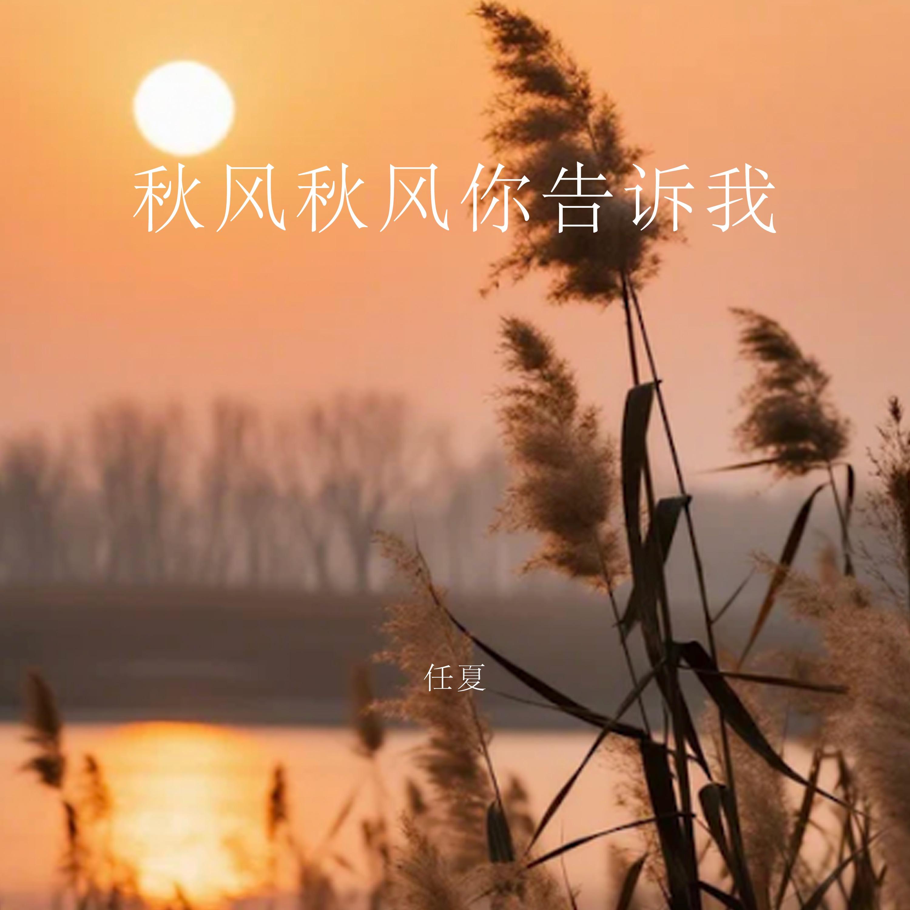 秋風秋風你告訴我 海報