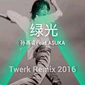 绿光－孙燕姿feat.A$UKA(Twerk Remix 2016)专辑