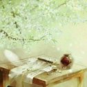 蝶恋花