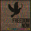 Nick Mulvey - Freedom Now