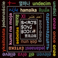 SHIRO’S SONGBOOK 11