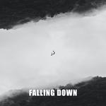 Falling Down(Original Mix)专辑